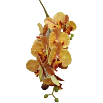 5vnt Dirbtinio Latekso Drugelis Orchidėjų Žiedų 8 Galvutės, 2 Filialai/Gabalas Nekilnojamojo Touch Phalaenopsis Orchidėja 27