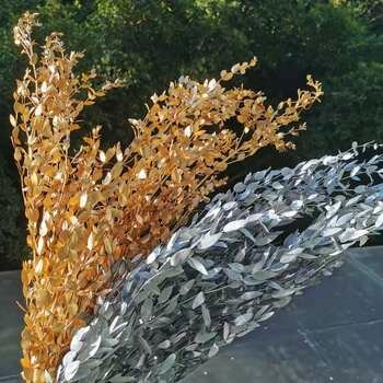 60g/30-40cm,Natūralių Džiovintų Eukalipto lapų Puokštė,Aukso, Sidabro Amžinąjį Ekranas augalų Vestuvių Namų Dekoro priedai