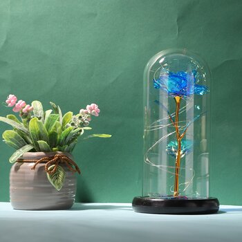 Led Eternal Rose Stiklo Kalėdų Dirbtinių Gėlių Dekoras Vestuvių, Gimtadienio, Valentino Naujųjų Metų dovanos namams